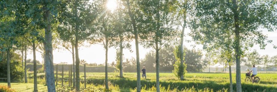 Buitenplaats - Rust - Landschap