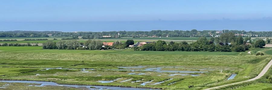 uitzicht plompe toren